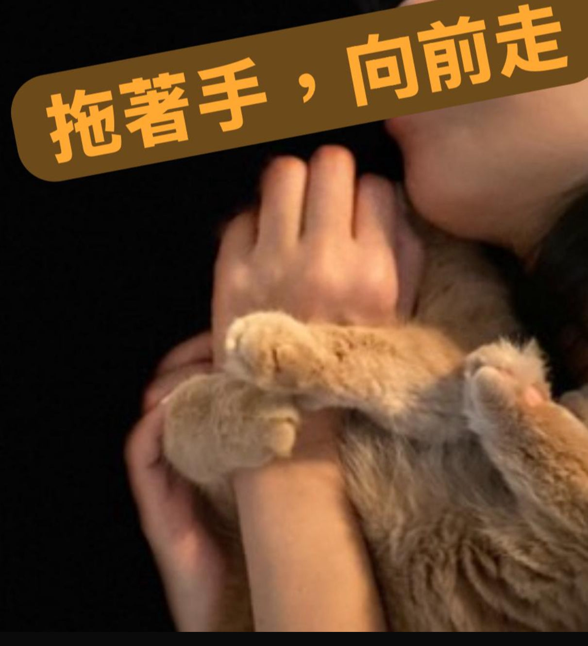 39 Winnie Chan Sze Wun