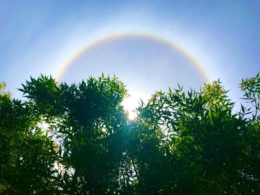 45 Eric Hui Ming Yan